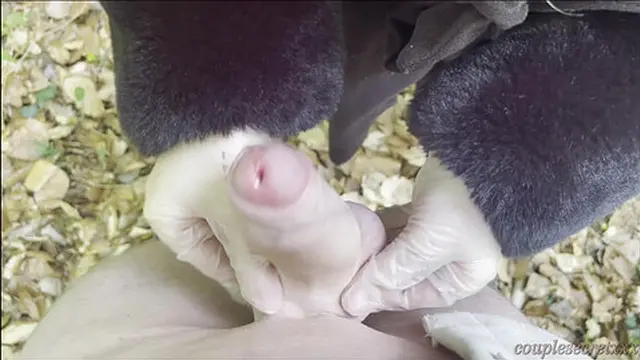 I cum on leaves – latex handjob in the forest with my best friend ????