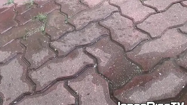 Japanese girls explore city pissing scenes in amateur cam sessions