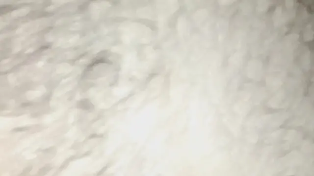 Hard cock🌭 swallowed then a fast &mdash;  rough pounding