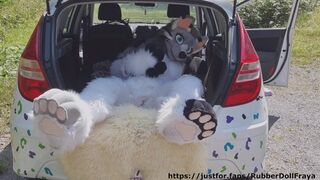 Fluffy car with fun