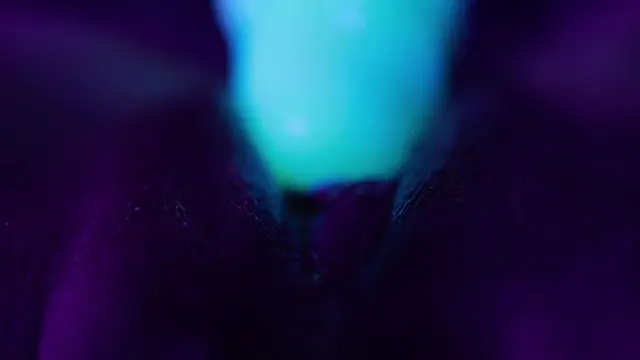 Hot Pussy✌ Clit Play Dragon Dick🌭 Multi-Orgasm💦 - Demi Doll