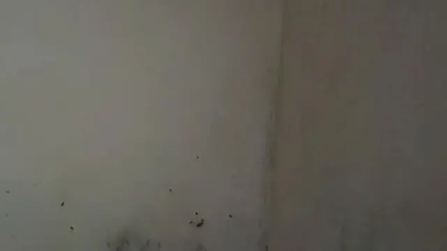 siririca em mais uma masturbação safada