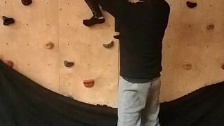 Troia in palestra