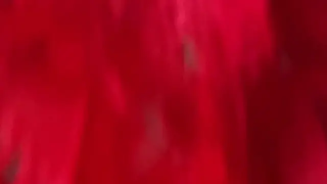 Spooky Seduction Under the Moonlight