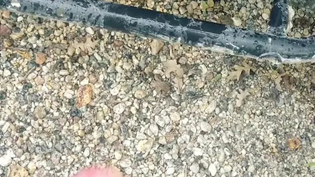 The Ultimate Solo Male Outdoor Pissing Compilation