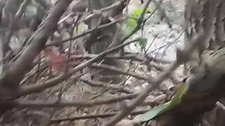 I jerk off in public place. Masturbate in the public park