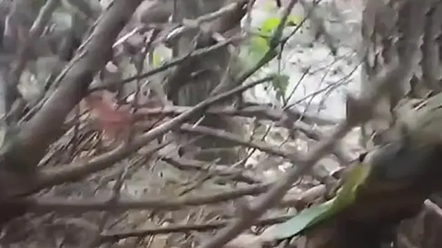 I masturbate in a crowded park &mdash;  slick and wild &mdash;  no one sees me