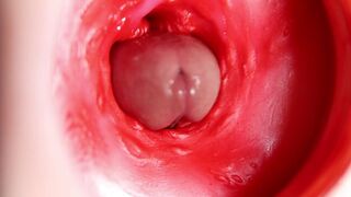 This beautiful pussy is pulsating and squeezing my cock! Camera inside the hole!