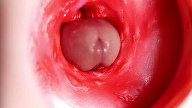 This beautiful pussy is pulsating and squeezing my cock! Camera inside the hole!