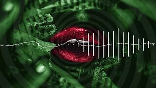 Pet Programming 1/5, Open to Me, deeper into submission, changing your personal structure