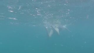 Blue water —  black swimsuit —  beautiful legs