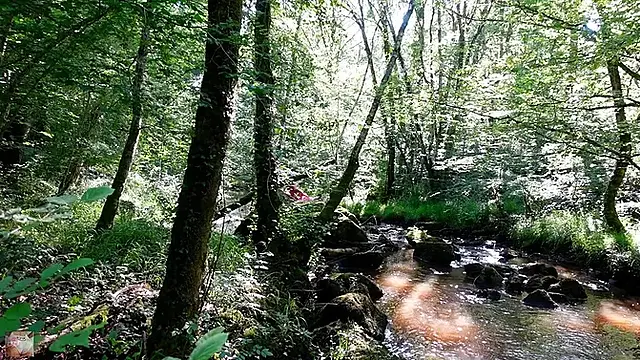 NEIGHBOR OUTDOOR AT THE RIVER